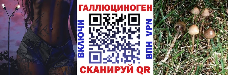 Псилоцибиновые грибы мухоморы  Ростов 